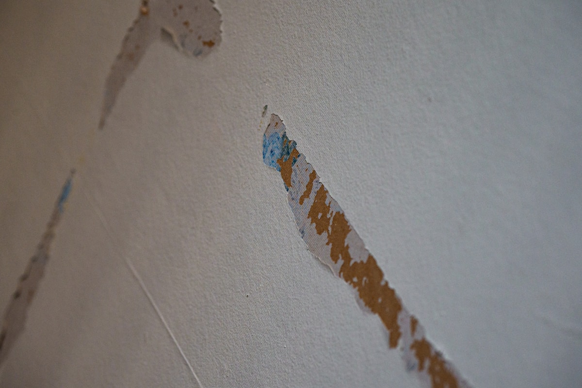 Flood Cleanup service in Menifee, CA